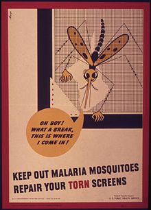 -Keep_out_malaria_mosquitoes_repair_your_torn_screen-_-_NARA_-_514969