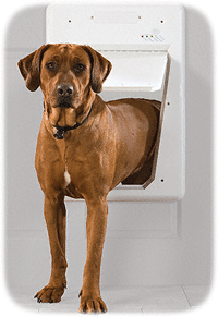 PetSafe Smart Door Electronic Dog Door | Tashman Home Center Los Angeles